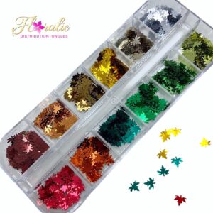 Paillette feuille d'automne (3)