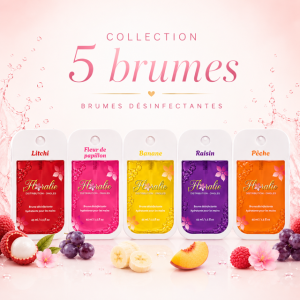 Collection de 5 brumes désinfectantes hydratantes pour les mains