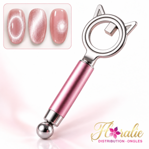 Aimant 2 en 1 pour vernis gel Cat Eye