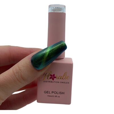 Vernis gel cat eyes #80