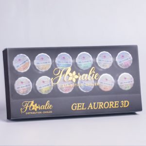 Coffret Gel 3D aurore